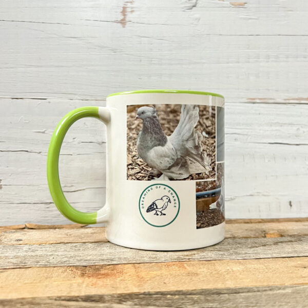 Pigeon mug with Dreaming of a Chance logo and Monet, and 6 other pigeon photos.